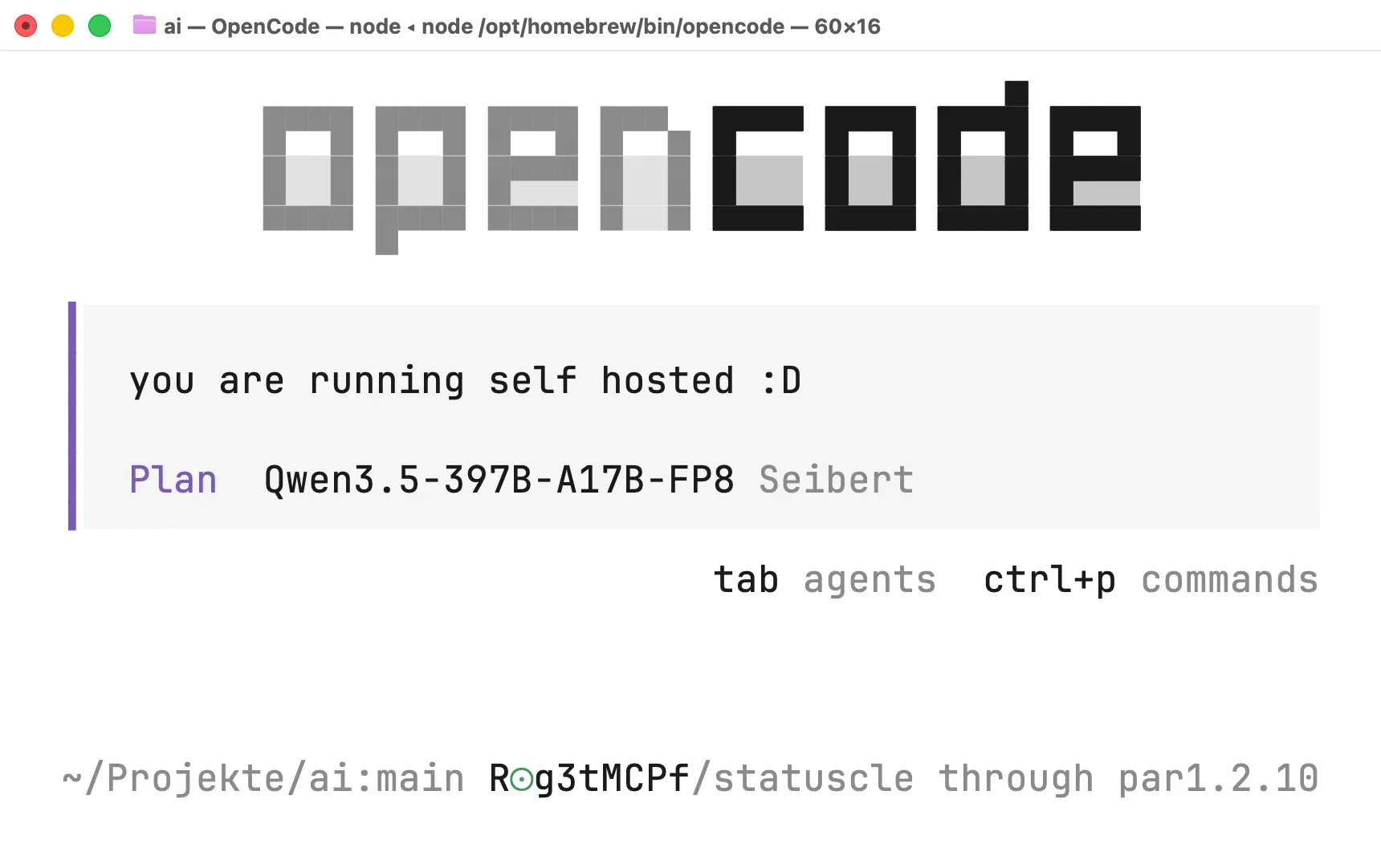 OpenCode mit dem selbst gehosteten Qwen-Modell auf dem Seibert-Server