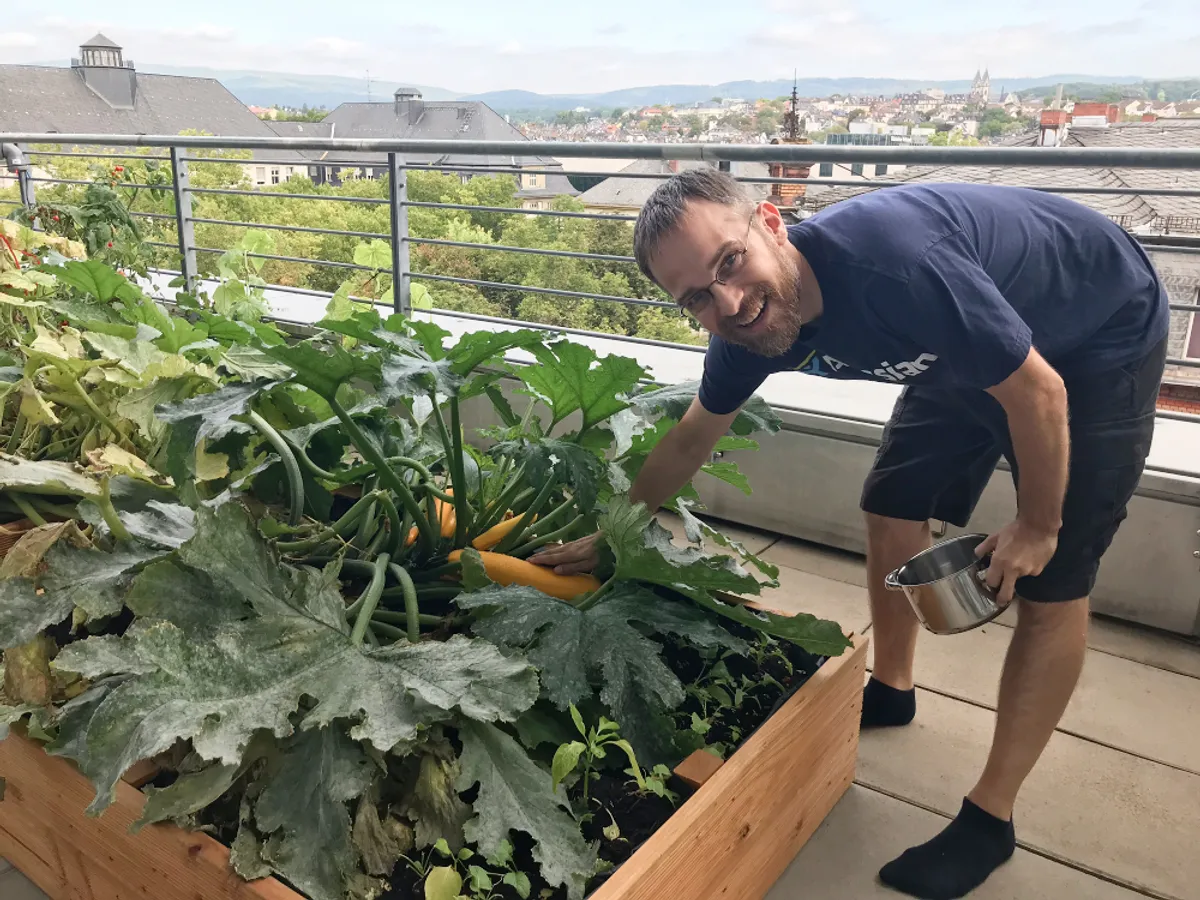 A smiling man holding a cooking pot while harvesting a large yellow zucchini from a raised garden bed on an urban rooftop terrace.